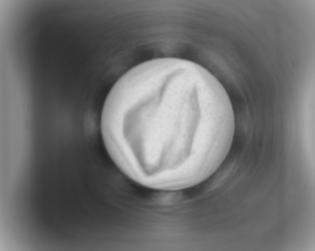 X0000101480135200807281047