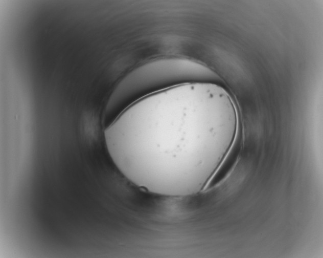 X0000101480136200807281047