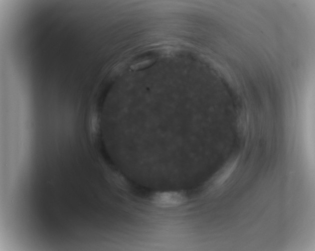 X0000101480137200807281047