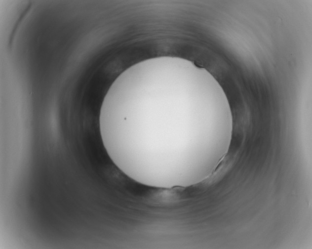 X0000101480140200807281047