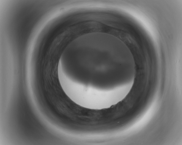 X0000101480143200807281047