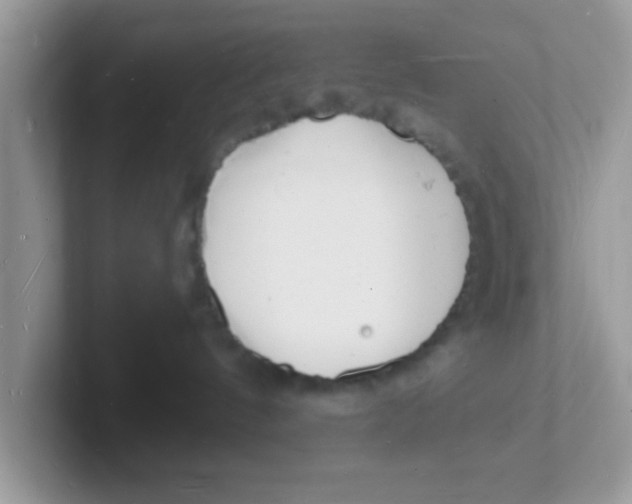 X0000101480144200807281047