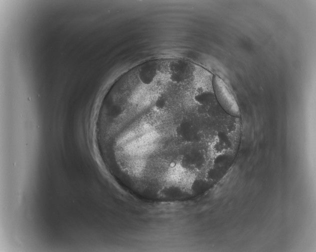 X0000101480145200807281046