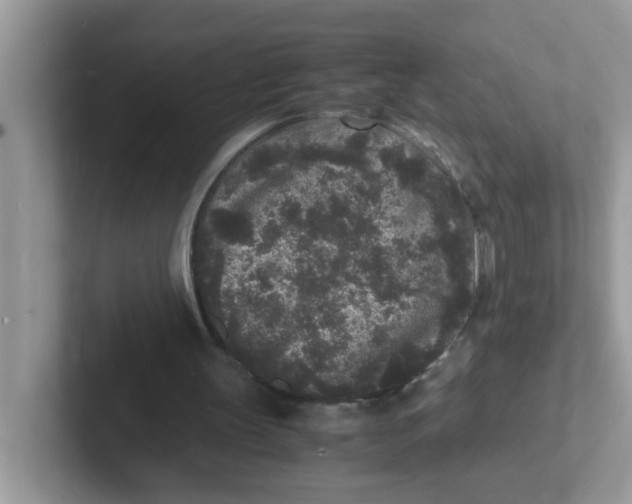 X0000101480147200807281046