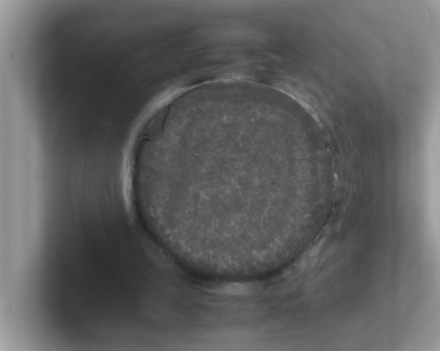 X0000101480149200807281046