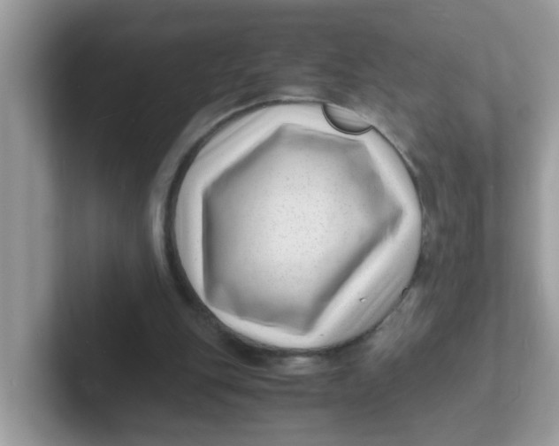 X0000101480151200807281046