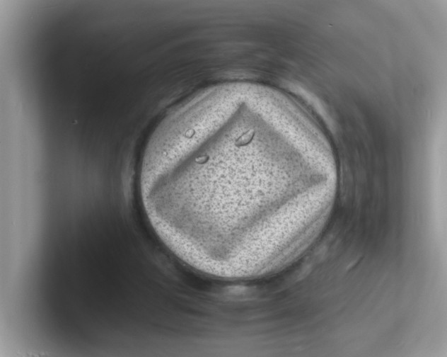 X0000101480153200807281046