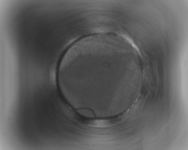 X0000101480154200807281046