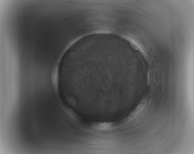 X0000101480156200807281046