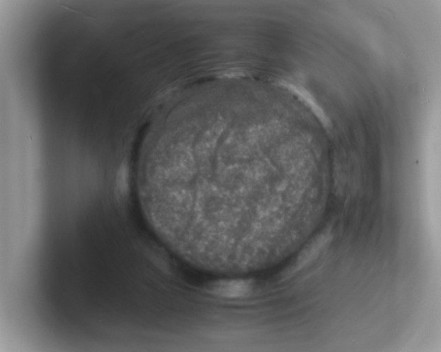 X0000101480161200807281046