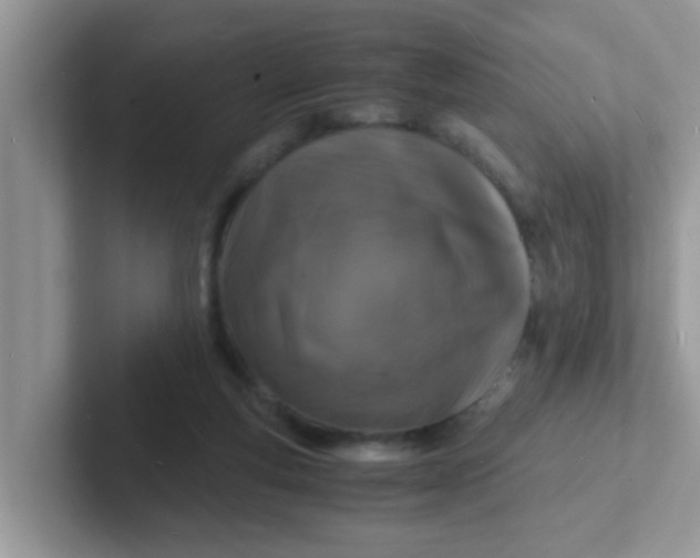 X0000101480163200807281046