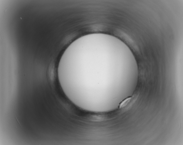 X0000101480164200807281046