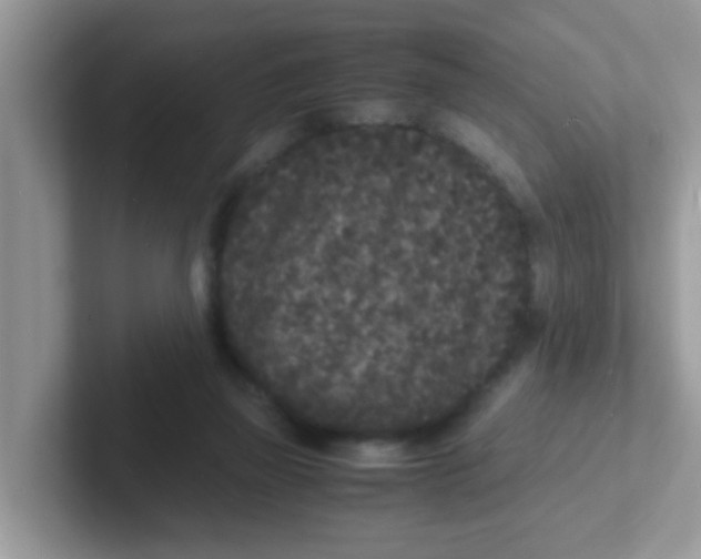 X0000101480165200807281046