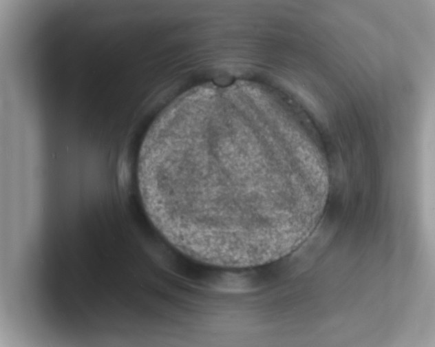 X0000101480166200807281046