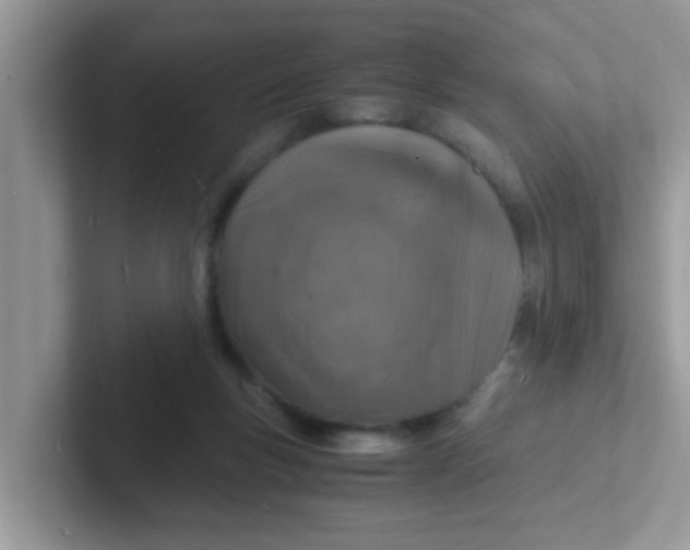 X0000101480167200807281046