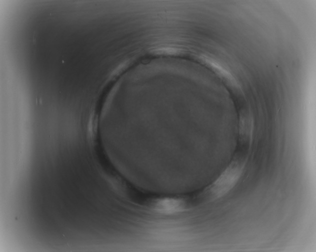 X0000101480168200807281046