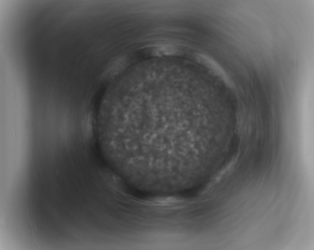 X0000101480169200807281046