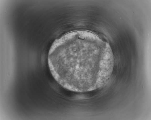 X0000101480171200807281046