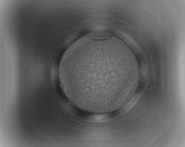 X0000101480172200807281046