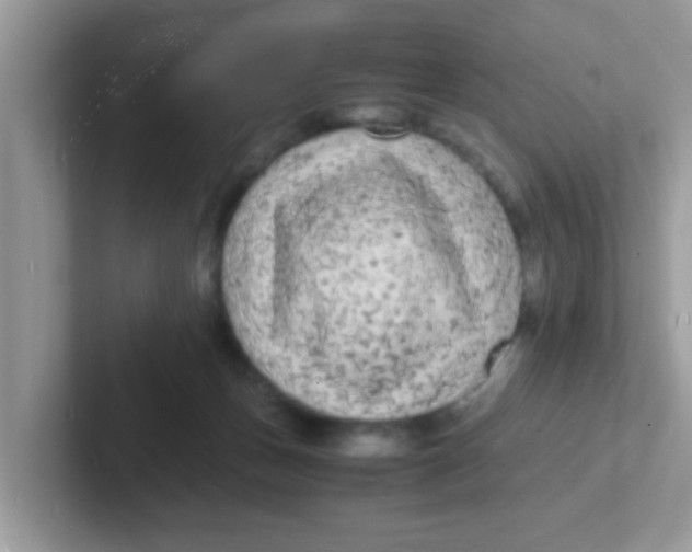 X0000101480175200807281047