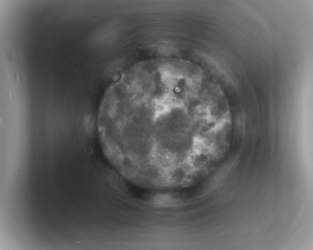 X0000101480177200807281047