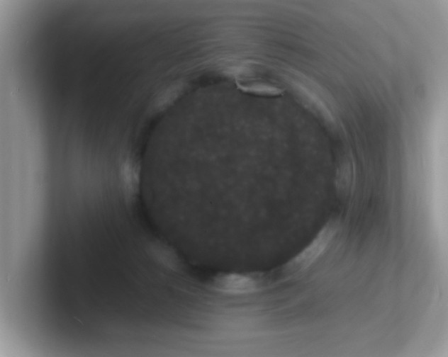 X0000101480180200807281047