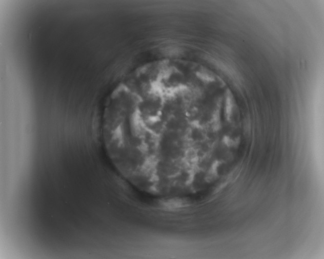 X0000101480181200807281047