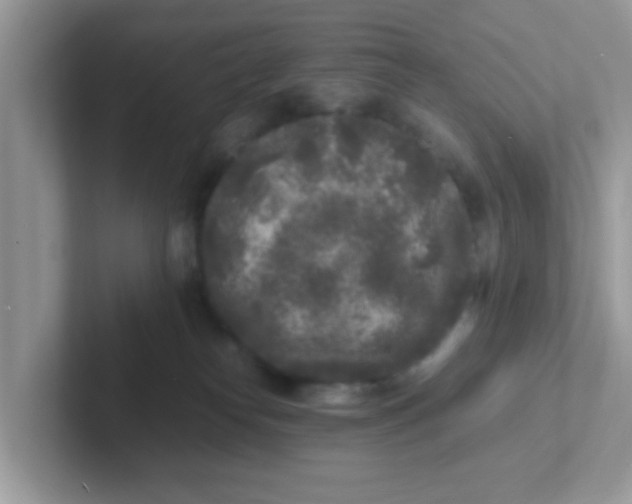 X0000101480182200807281047