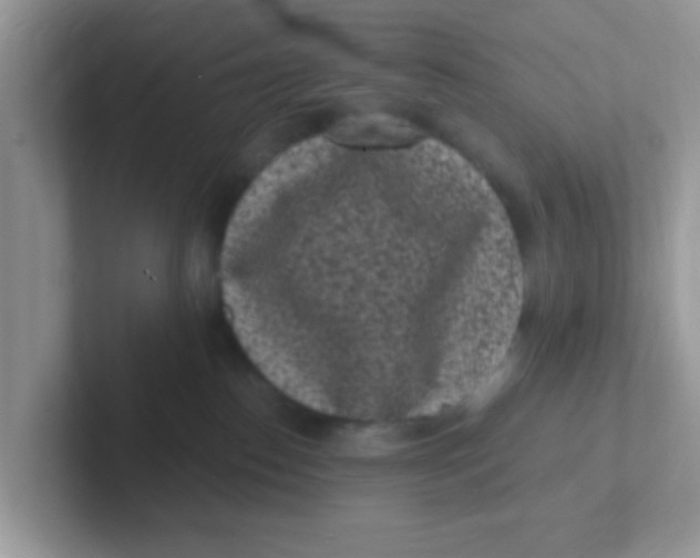 X0000101480186200807281047