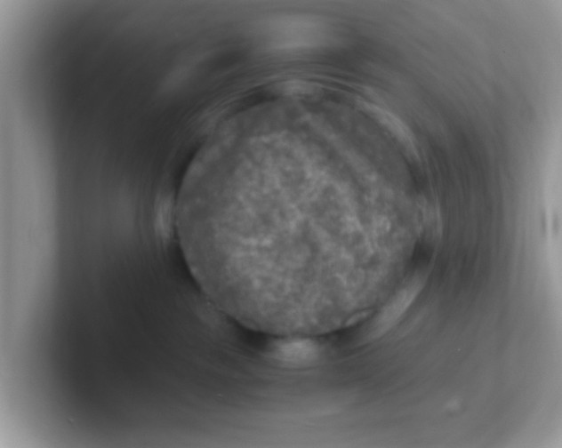 X0000101480189200807281047