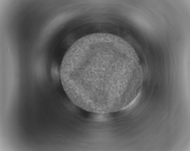 X0000101480191200807281047