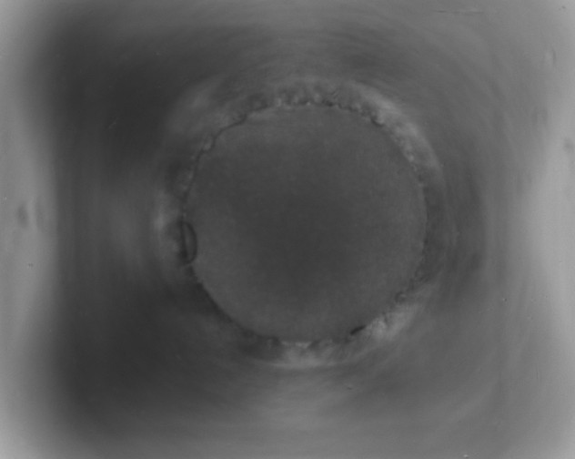 X0000101480192200807281047