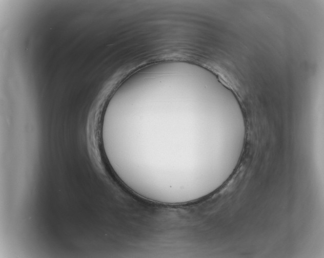 X0000101480193200807281046