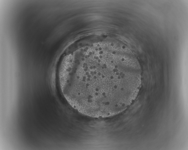 X0000101480194200807281046