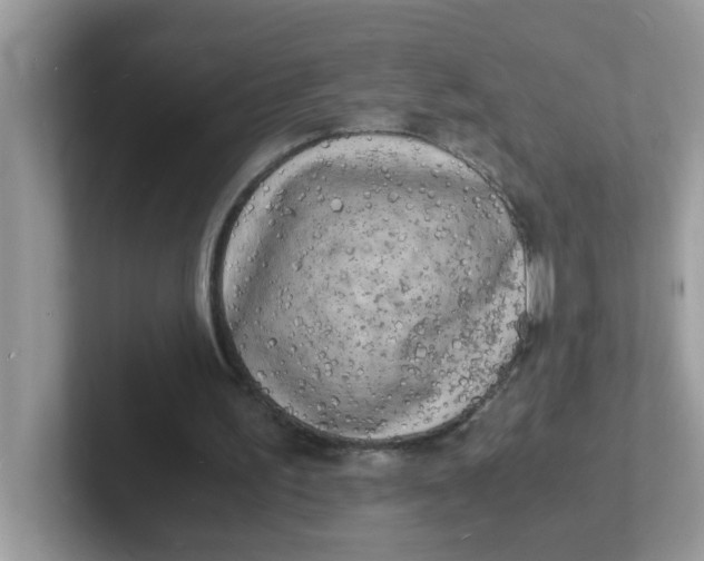 X0000101480195200807281046