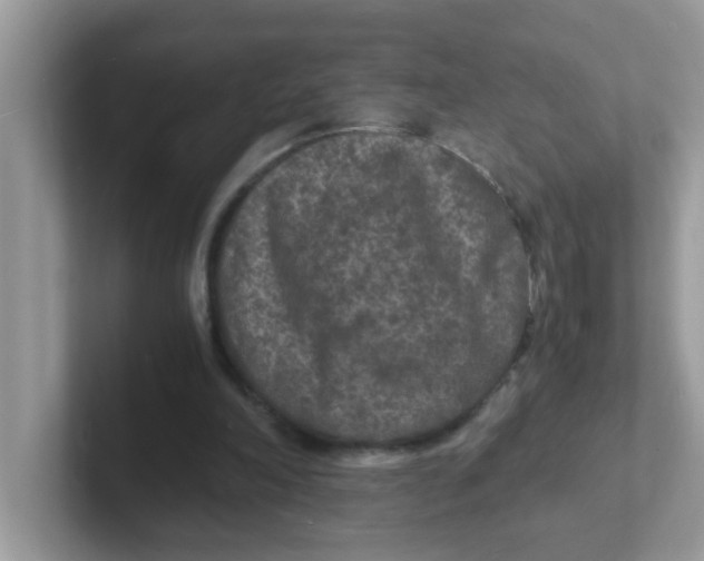 X0000101480198200807281046