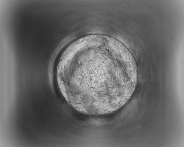 X0000101480199200807281046