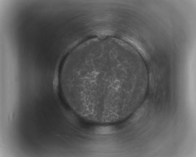 X0000101480202200807281046