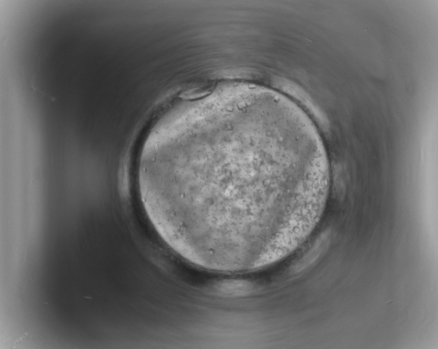 X0000101480203200807281046