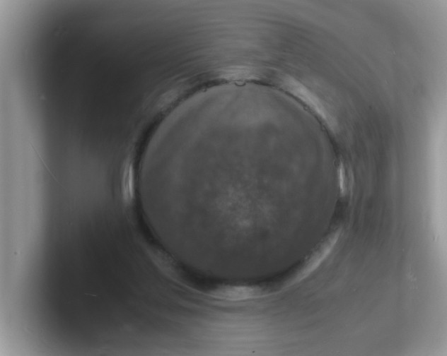 X0000101480205200807281046