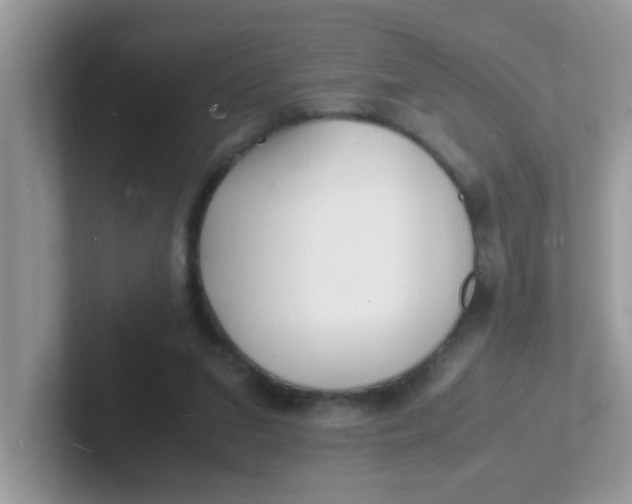 X0000101480207200807281046