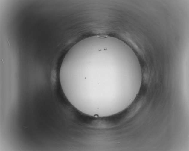 X0000101480211200807281046