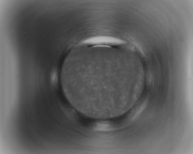 X0000101480214200807281046