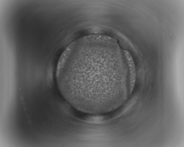 X0000101480217200807281046