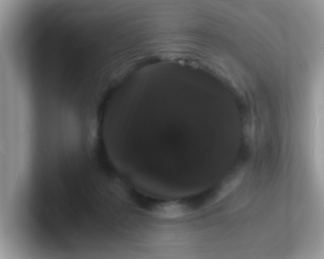 X0000101480219200807281046