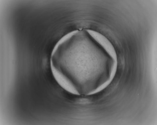 X0000101480224200807281046