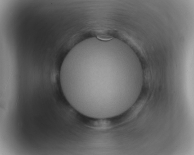 X0000101480225200807281046