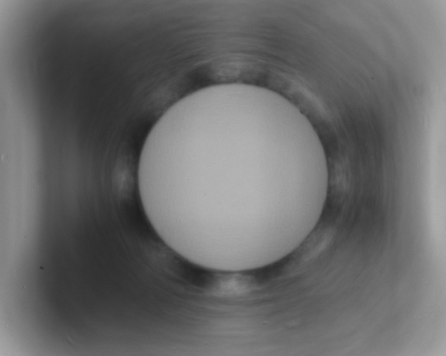 X0000101480226200807281046