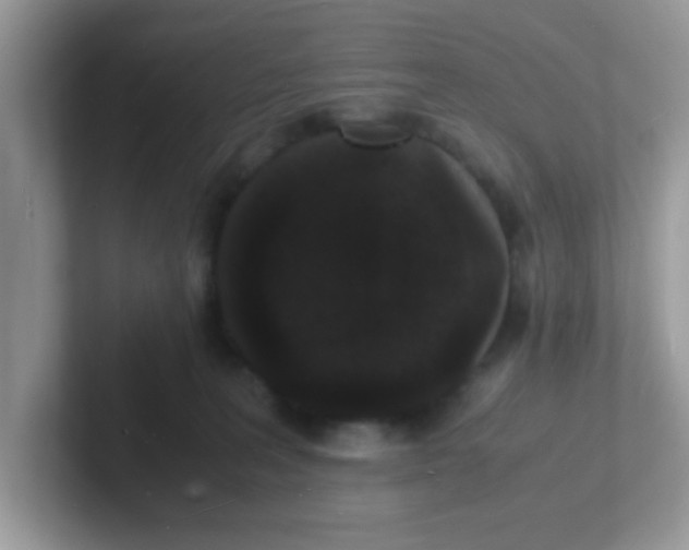 X0000101480227200807281046