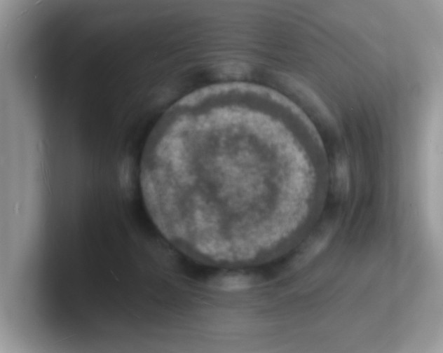 X0000101480228200807281046